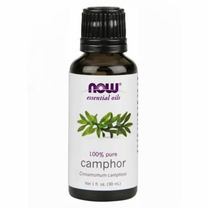 Picture of A10-Now Camphor Essential Oil 30 ml